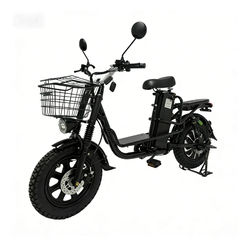 Electric Cargo Delivery E-bike