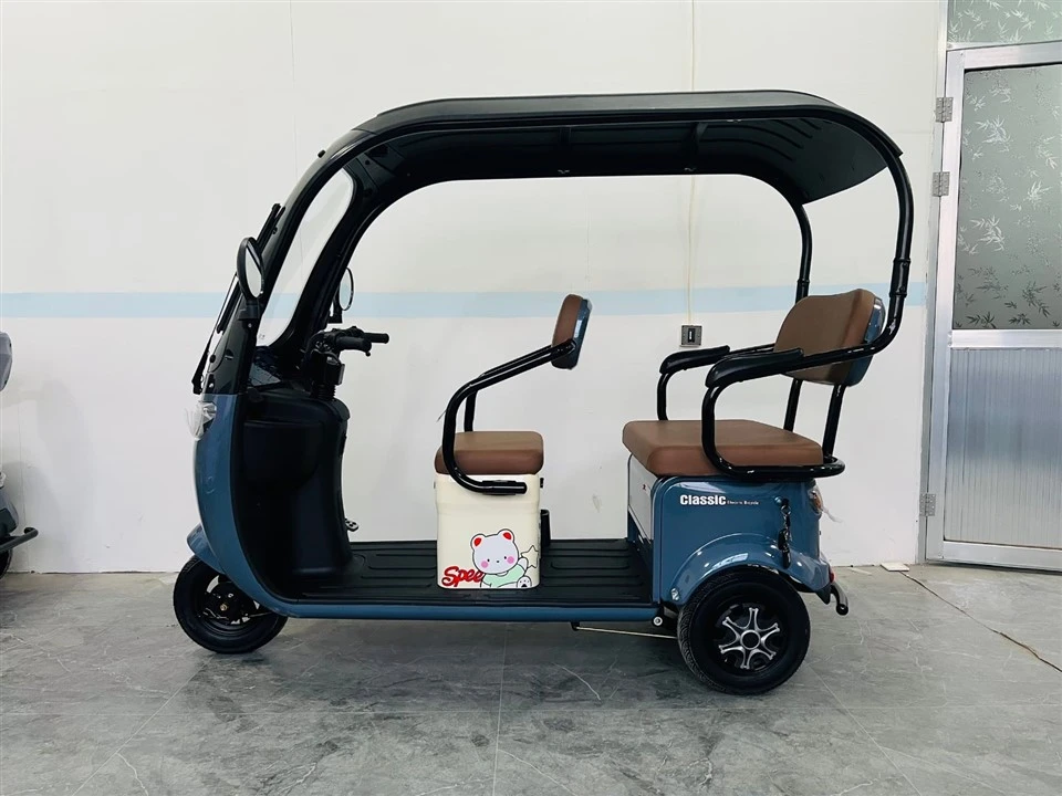 Electric Weather-Proof Enclosed Trike high quality