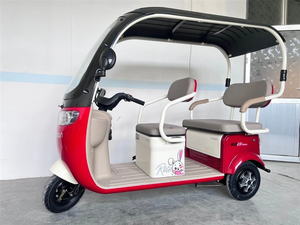 Electric Weather-Proof Enclosed Trike best