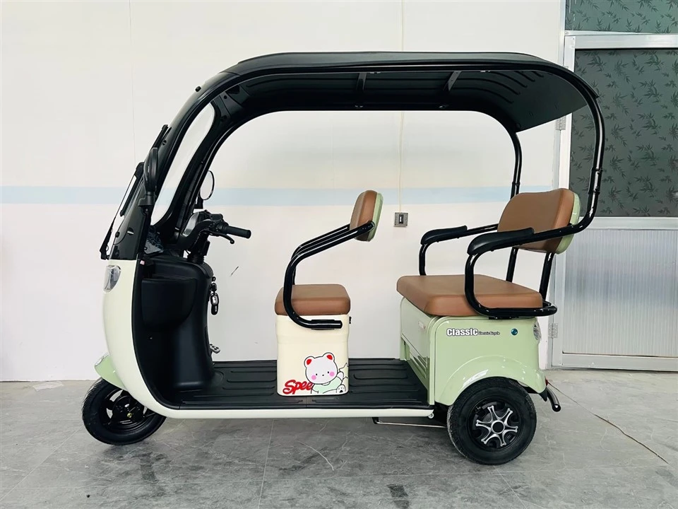 Electric Weather-Proof Enclosed Trike suppliers