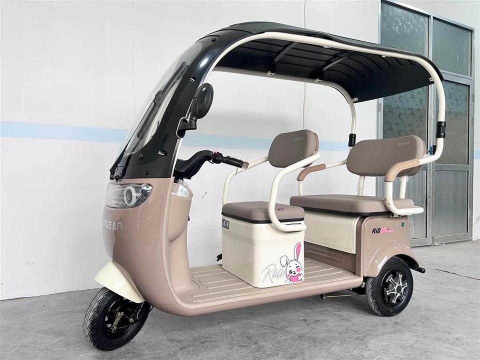 Electric Weather-Proof Enclosed Trike factory