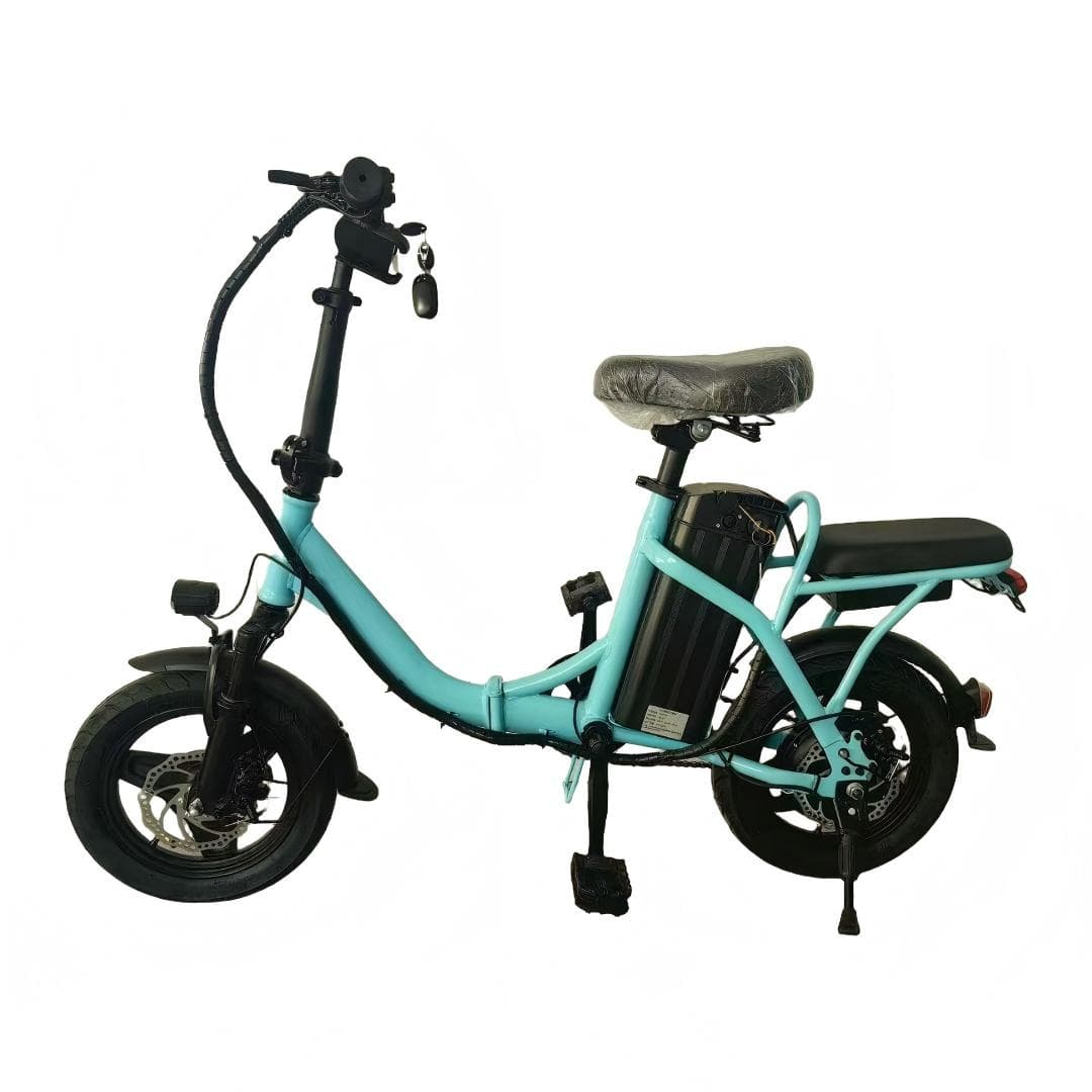 Electric Foldable City Bike