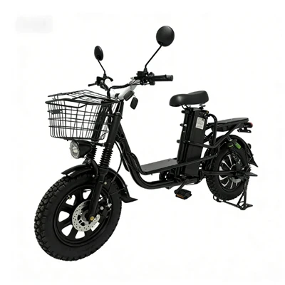 Electric Cargo Delivery E-bike