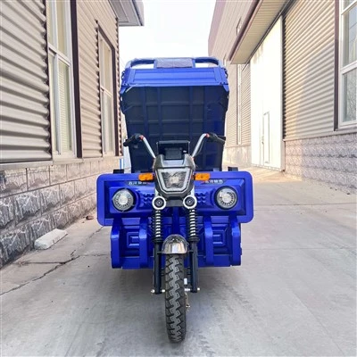 Electric Freight Trike Bike