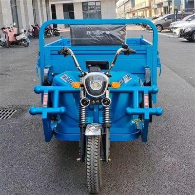 Electric Heavy-Duty Cargo Tricycle