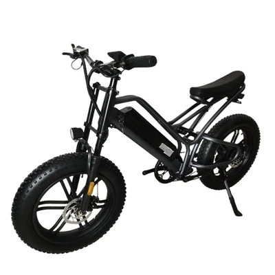 Electric Trail Mountain E-bike