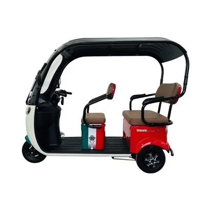 Electric Weather-Proof Enclosed Trike